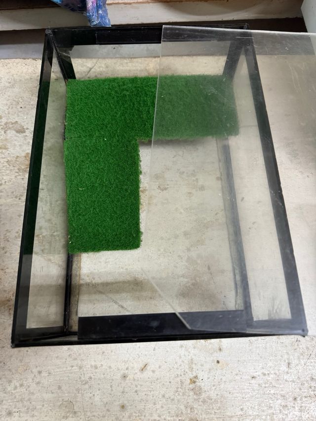 Terrario con rampa verde