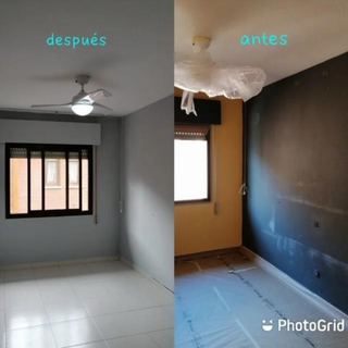 Pintor profesional muy economico