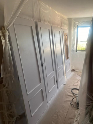 Pintor profesional muy economico