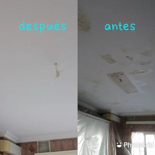 Pintor profesional muy economico
