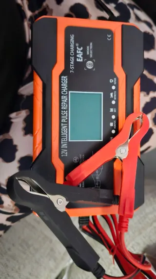 Cargador Baterías EAFC 12V 12A