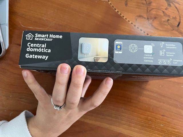 Central Domótica Silvercrest Gateway