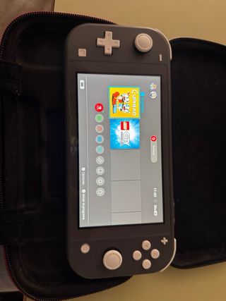 Nintendo Switch Lite Grigia
