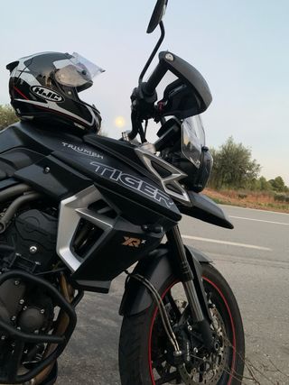Triumph Tiger 800 XRX 2019