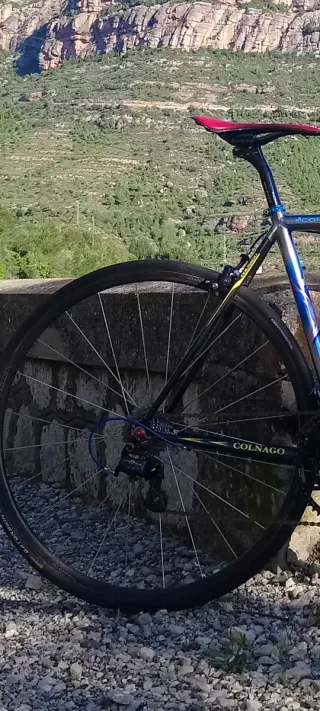 Ruedas Corima Vinium