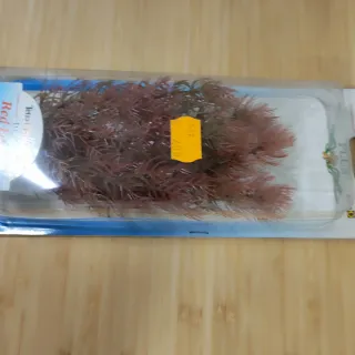 Calentador Acuario Tetratec HT 75
