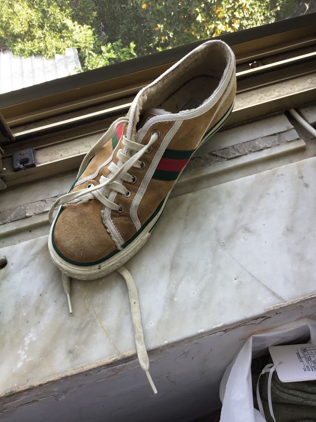 Scarpa Gucci marrone e verde