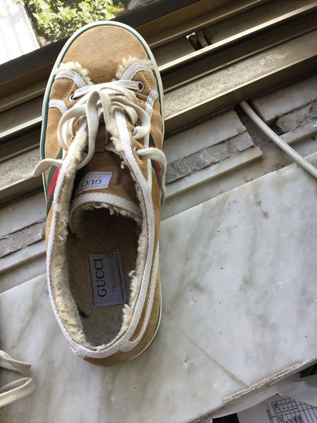 Scarpa Gucci marrone e verde