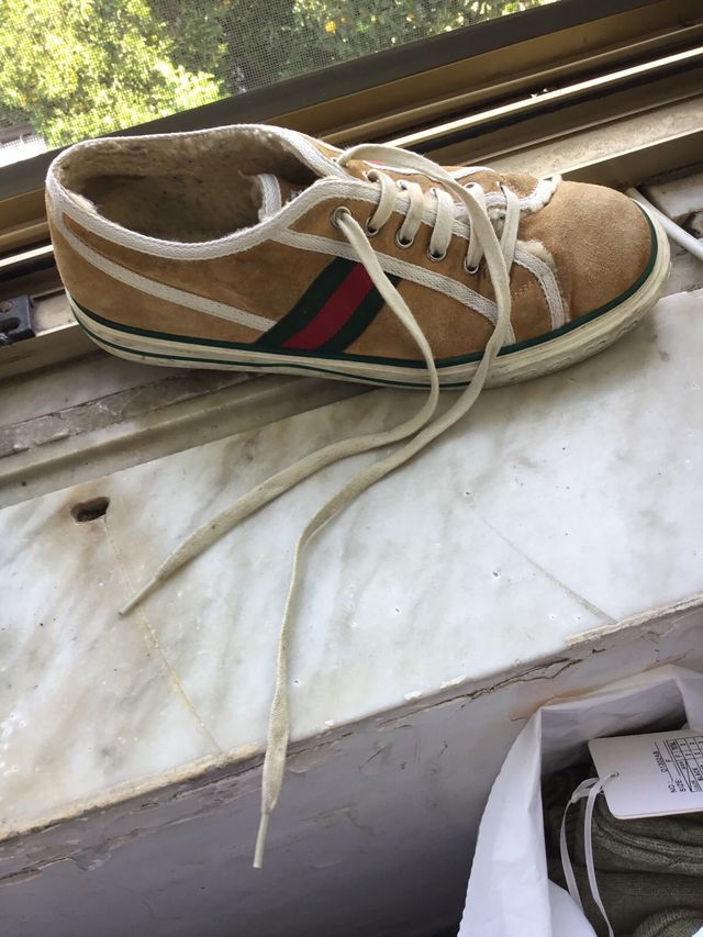 Scarpa Gucci marrone e verde