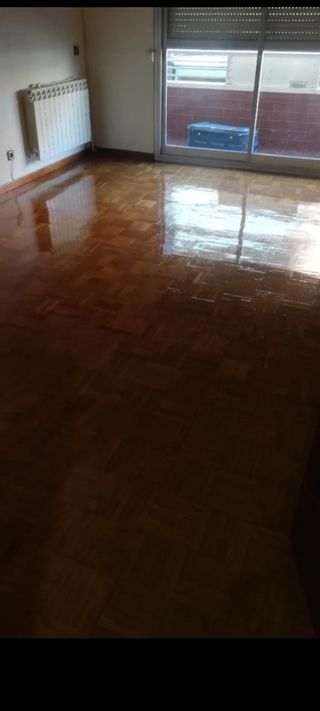 Pintor económico y limpiezas