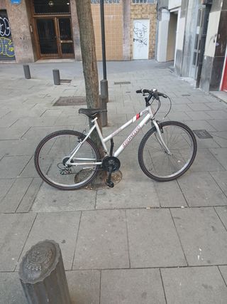 Bicicleta de montaña plateada