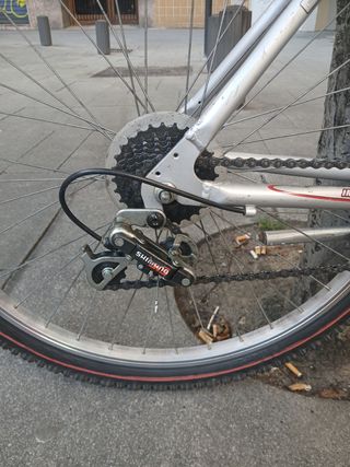 Bicicleta de montaña plateada