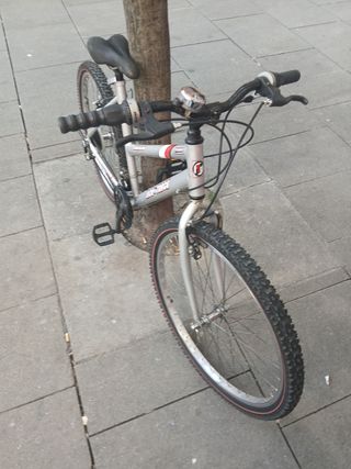 Bicicleta de montaña plateada