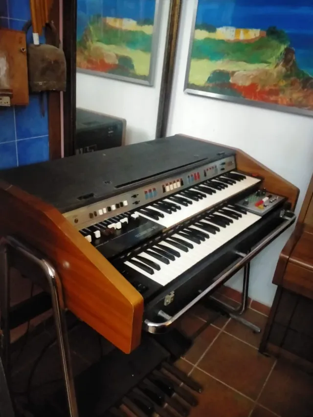Organo Farfisa Portatile, modello Professional 110