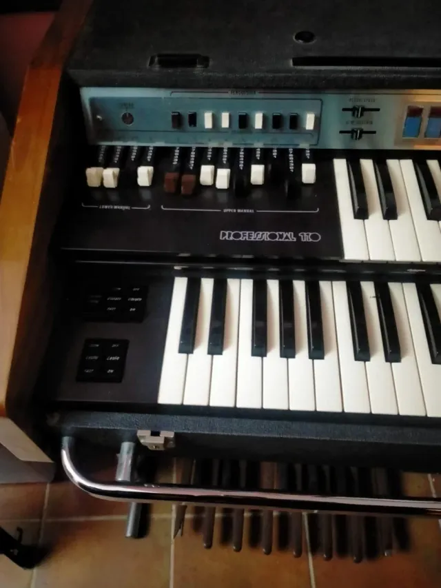 Organo Farfisa Portatile, modello Professional 110