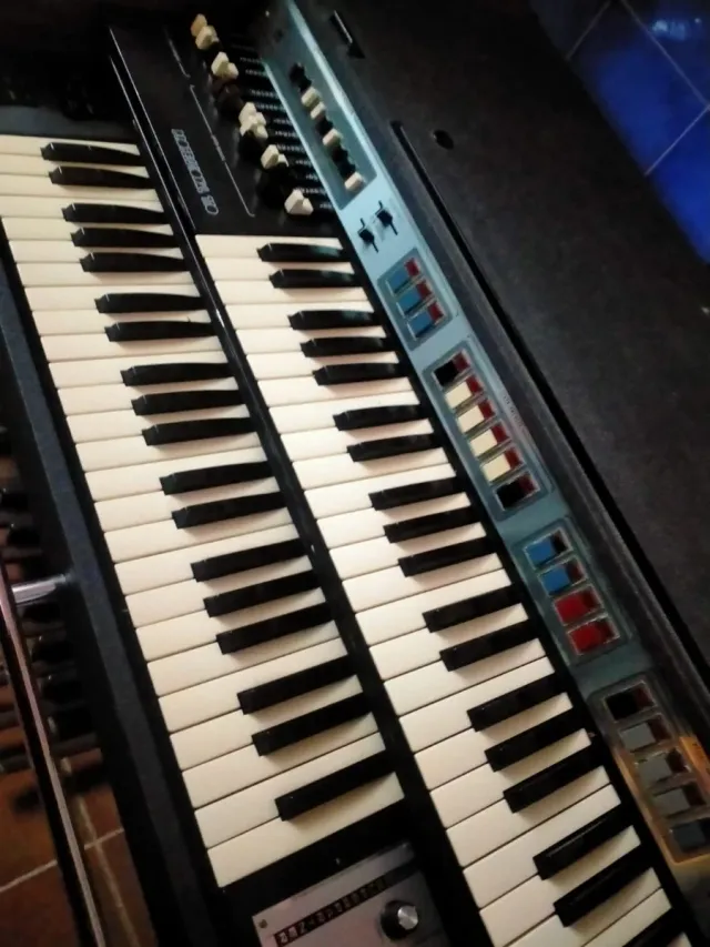 Organo Farfisa Portatile, modello Professional 110