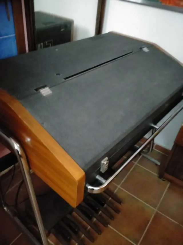 Organo Farfisa Portatile, modello Professional 110