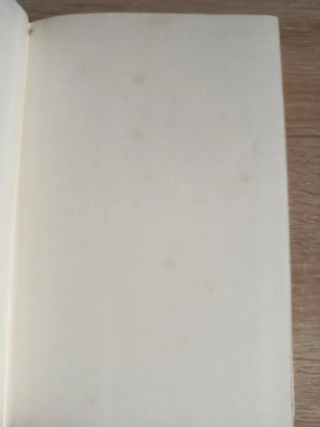 El año que trafiqué con mujeres