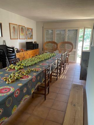 Casa a 4 vientos + 2 parcelas