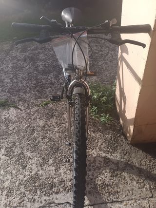 Bicicleta de montaña plateada