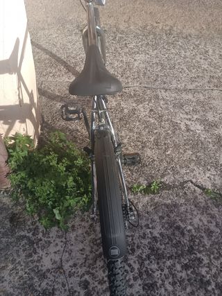 Bicicleta de montaña plateada