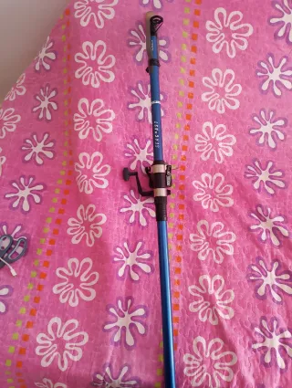 Caña de pescar Seacoast 100 Heavy