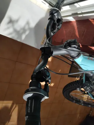 Bici de montaña azul