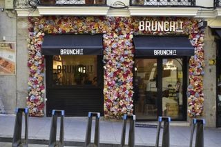 Cámara Nikon D5600 + objetivo