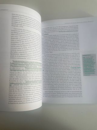 Psicología del desarrollo I (GRADO) (Spanish Ed...