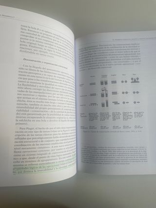 Psicología del desarrollo I (GRADO) (Spanish Ed...