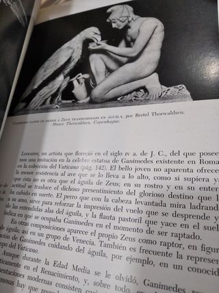 Mitología clásica ilustrada (Griega y Romana)