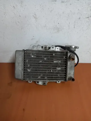 Radiador Honda PS/SH 125