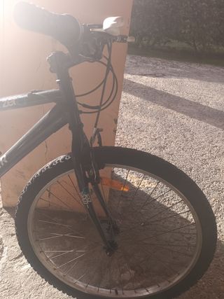 Bicicleta negra