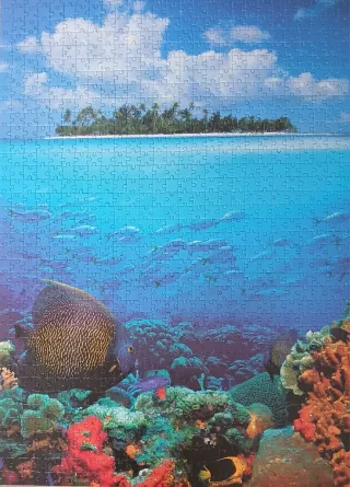 Puzzle 1000 piezas: Isla tropical y vida marina