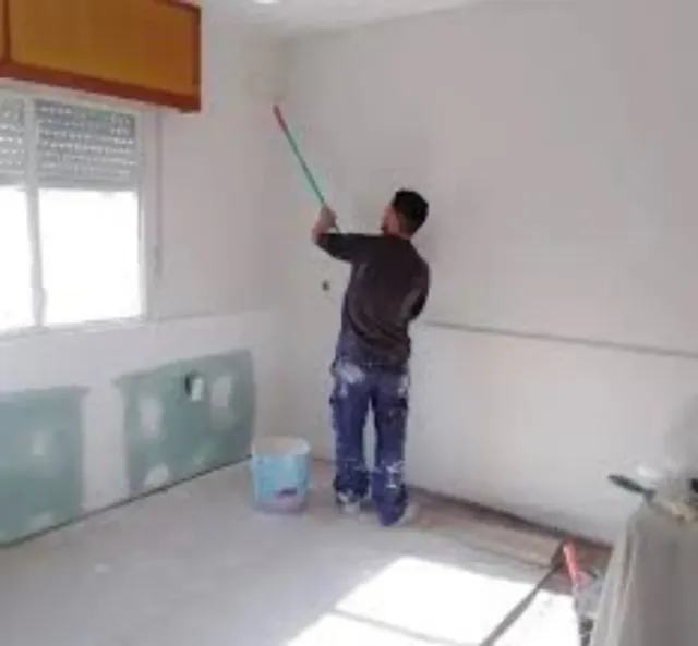 Pintores profesionales