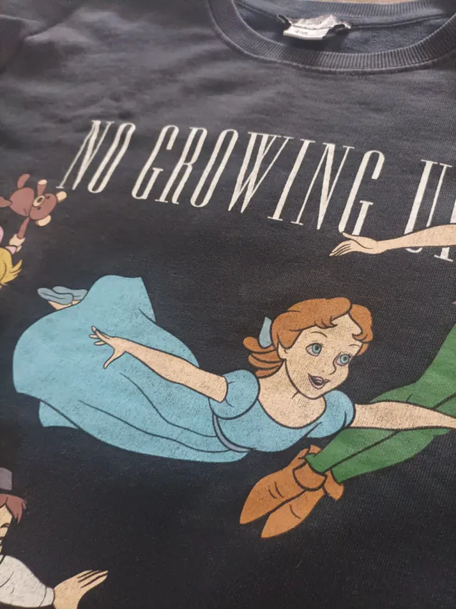 Sudadera Disney x Stradivarius Peter Pan