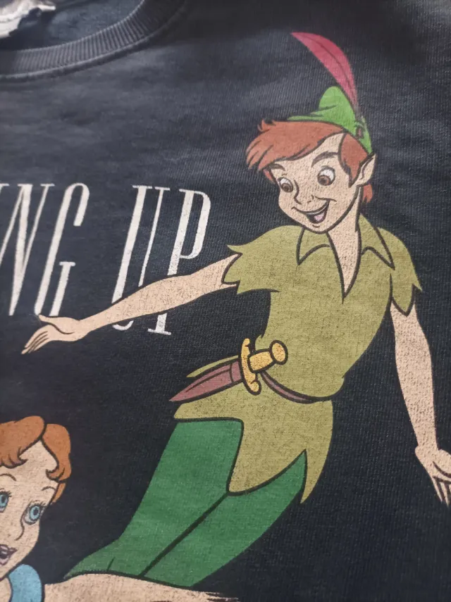 Sudadera Disney x Stradivarius Peter Pan