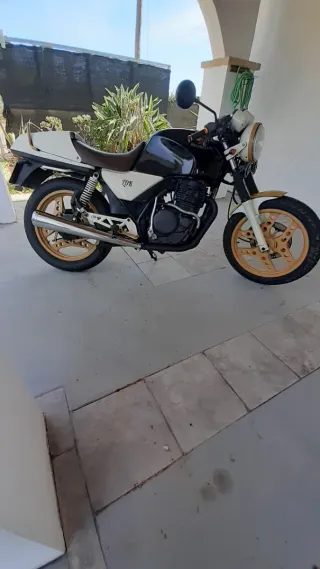 Honda XBR 500 ITV hasta 2027