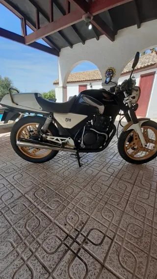 Honda XBR 500 ITV hasta 2027