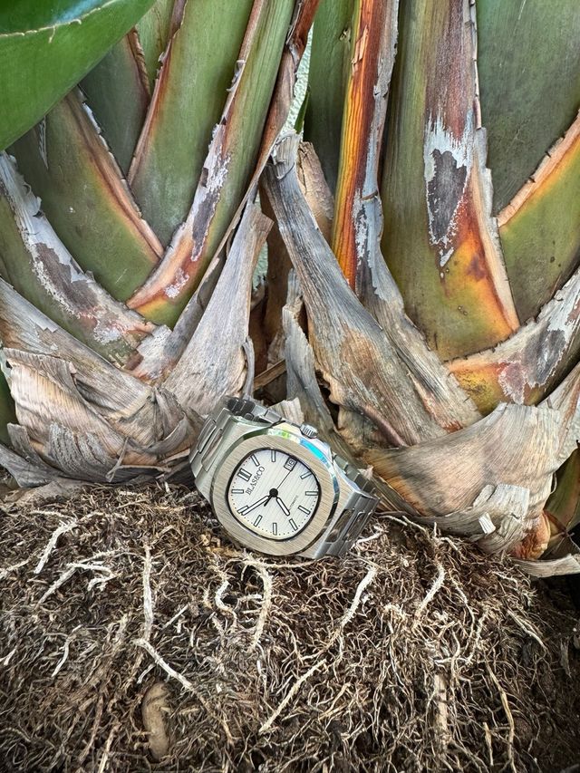 Reloj Seiko Mod Blas&Co Plata/Blanco