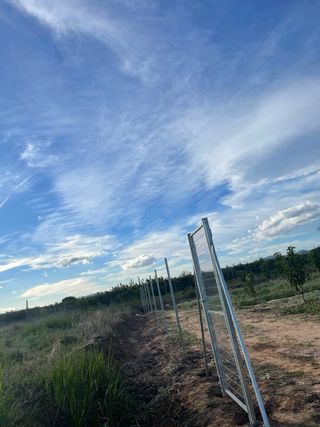 Valla metálica en Alginet