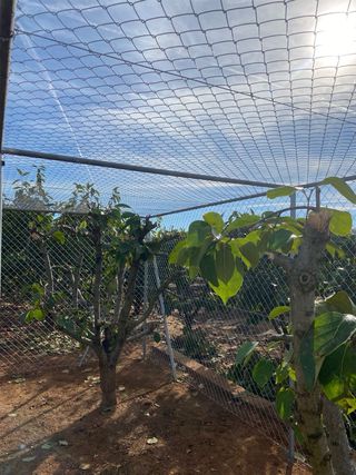 Valla metálica en Alginet