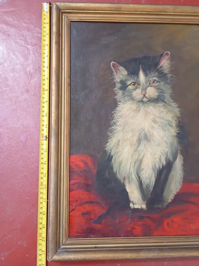Cuadro óleo lienzo gato sobre tela roja