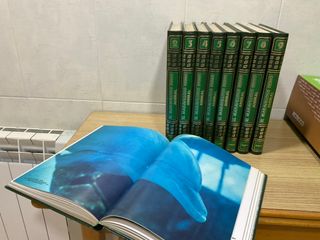 El maravilloso reino animal