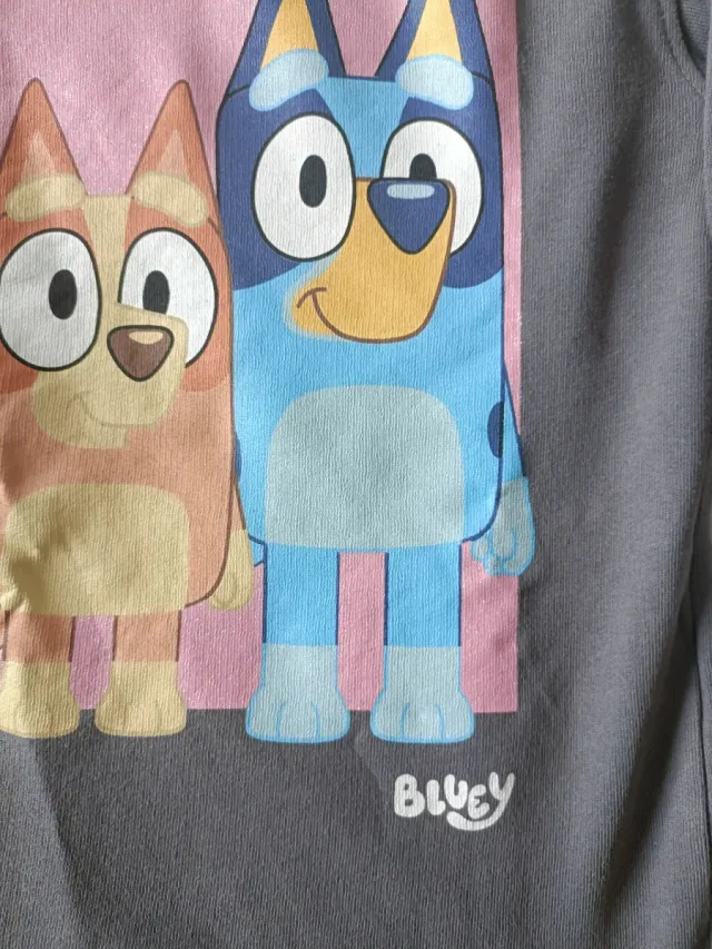 Vestido sudadera Zara niña Bluey