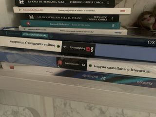 libros de Bachillerato y literatura (EVAU/Selectiv