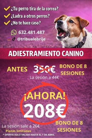 ADIESTRAMIENTO CANINO