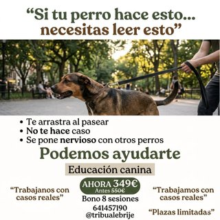 ADIESTRAMIENTO CANINO