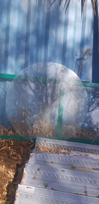 Cristal Redondo Transparente