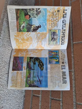 El Libro de las Adivinanzas Bimbo